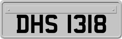 DHS1318