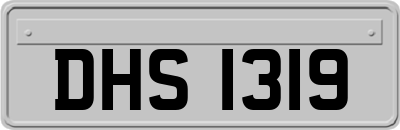 DHS1319