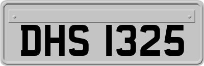 DHS1325
