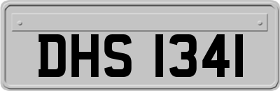 DHS1341