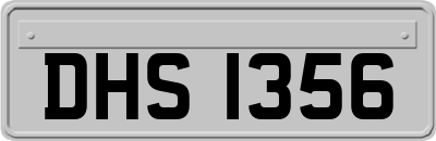 DHS1356