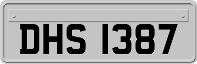 DHS1387