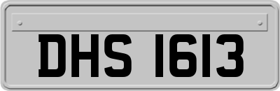 DHS1613