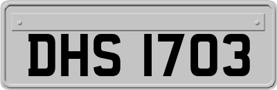 DHS1703