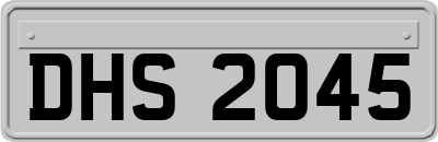 DHS2045