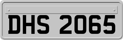 DHS2065