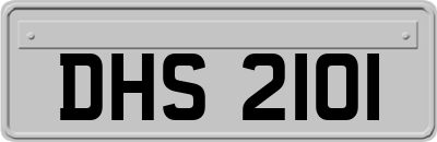 DHS2101