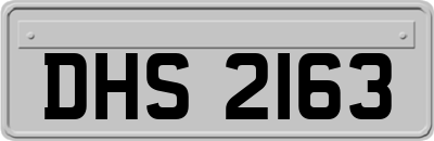 DHS2163