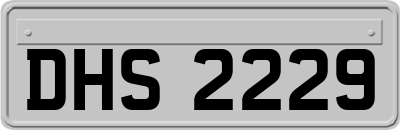 DHS2229