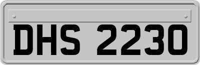 DHS2230