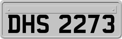 DHS2273