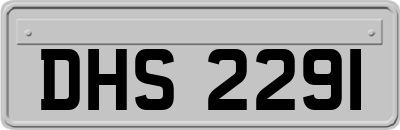 DHS2291