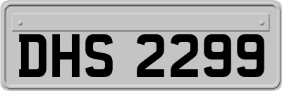 DHS2299