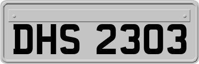 DHS2303