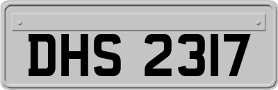 DHS2317