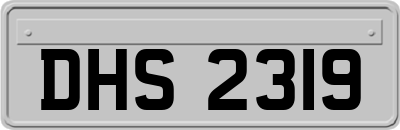 DHS2319