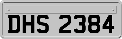 DHS2384