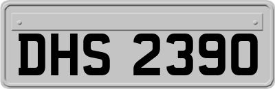 DHS2390