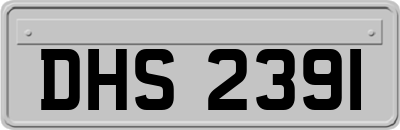 DHS2391