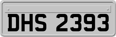 DHS2393