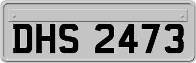 DHS2473