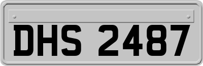 DHS2487