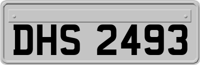 DHS2493