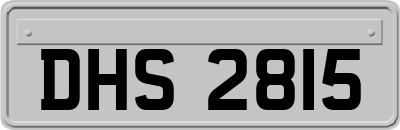 DHS2815