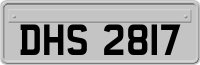 DHS2817