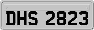 DHS2823