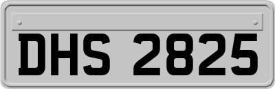 DHS2825