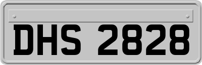 DHS2828