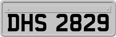 DHS2829