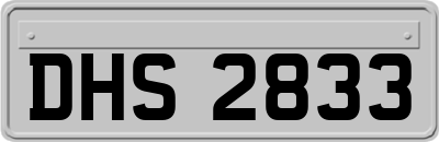 DHS2833