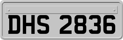 DHS2836
