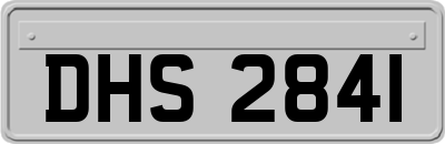 DHS2841
