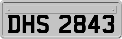 DHS2843