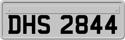 DHS2844