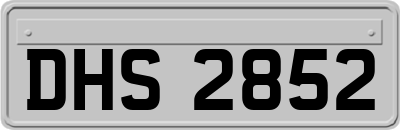 DHS2852
