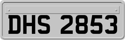 DHS2853