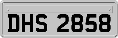 DHS2858
