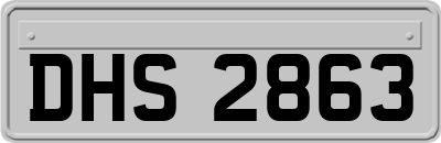 DHS2863