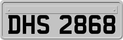 DHS2868