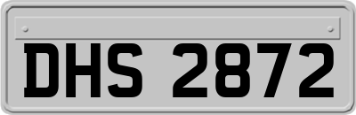 DHS2872