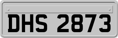 DHS2873