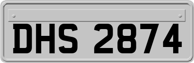 DHS2874