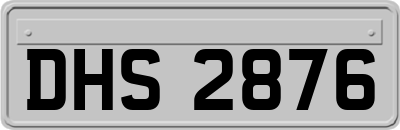DHS2876