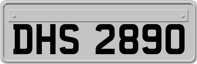 DHS2890