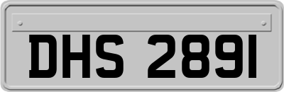 DHS2891