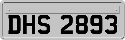 DHS2893